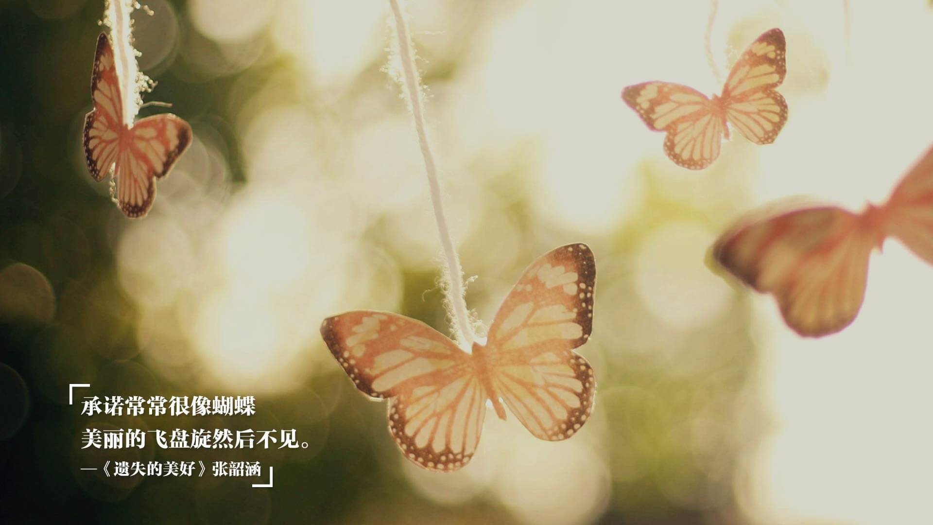 中国足球青少年训练体系推动认知决策课程，中国青少年足球发展路径选择