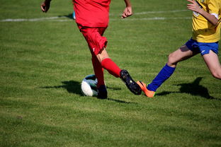 开云体育登录网站入口-LPL多个队伍重组计划曝光转会期极度混乱，lpl战队转会期